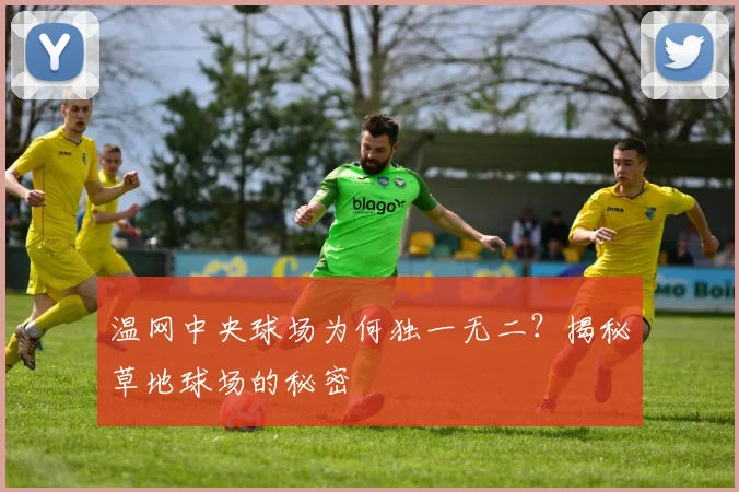 温网中央球场为何独一无二?揭秘草地球场的秘密