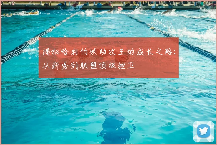 揭秘哈利伯顿助攻王的成长之路:从新秀到联盟顶级控卫