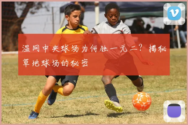 温网中央球场为何独一无二?揭秘草地球场的秘密