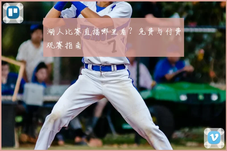 湖人比赛直播哪里看?免费与付费观赛指南