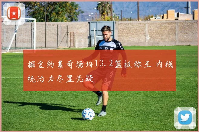 掘金约基奇场均13.2篮板称王 内线统治力尽显无疑